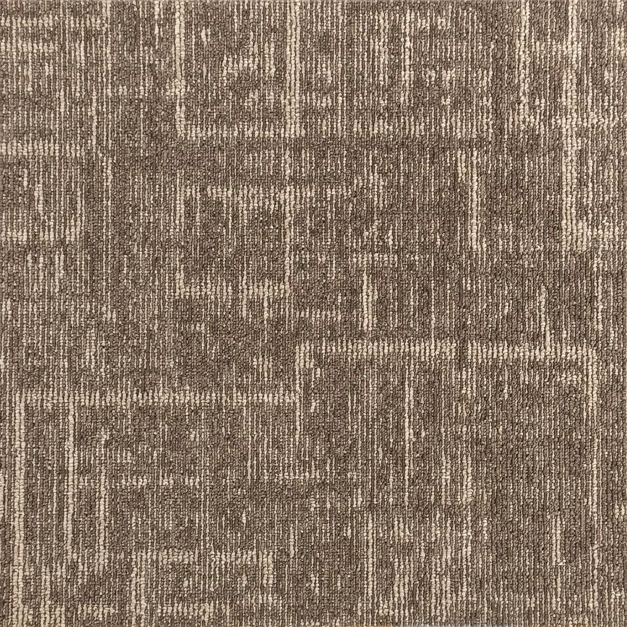 Brown 007 - Quantum