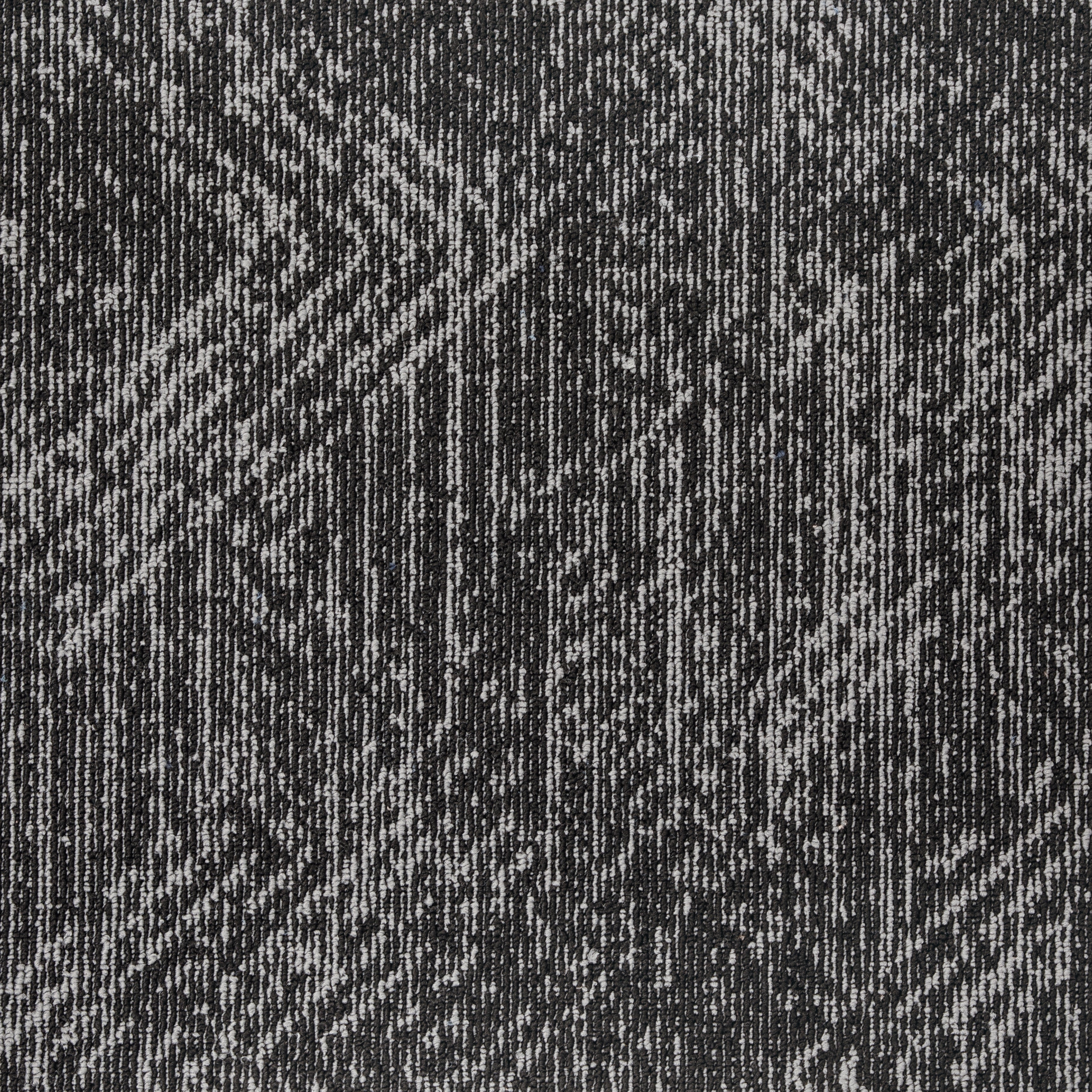Black 004 - Vector