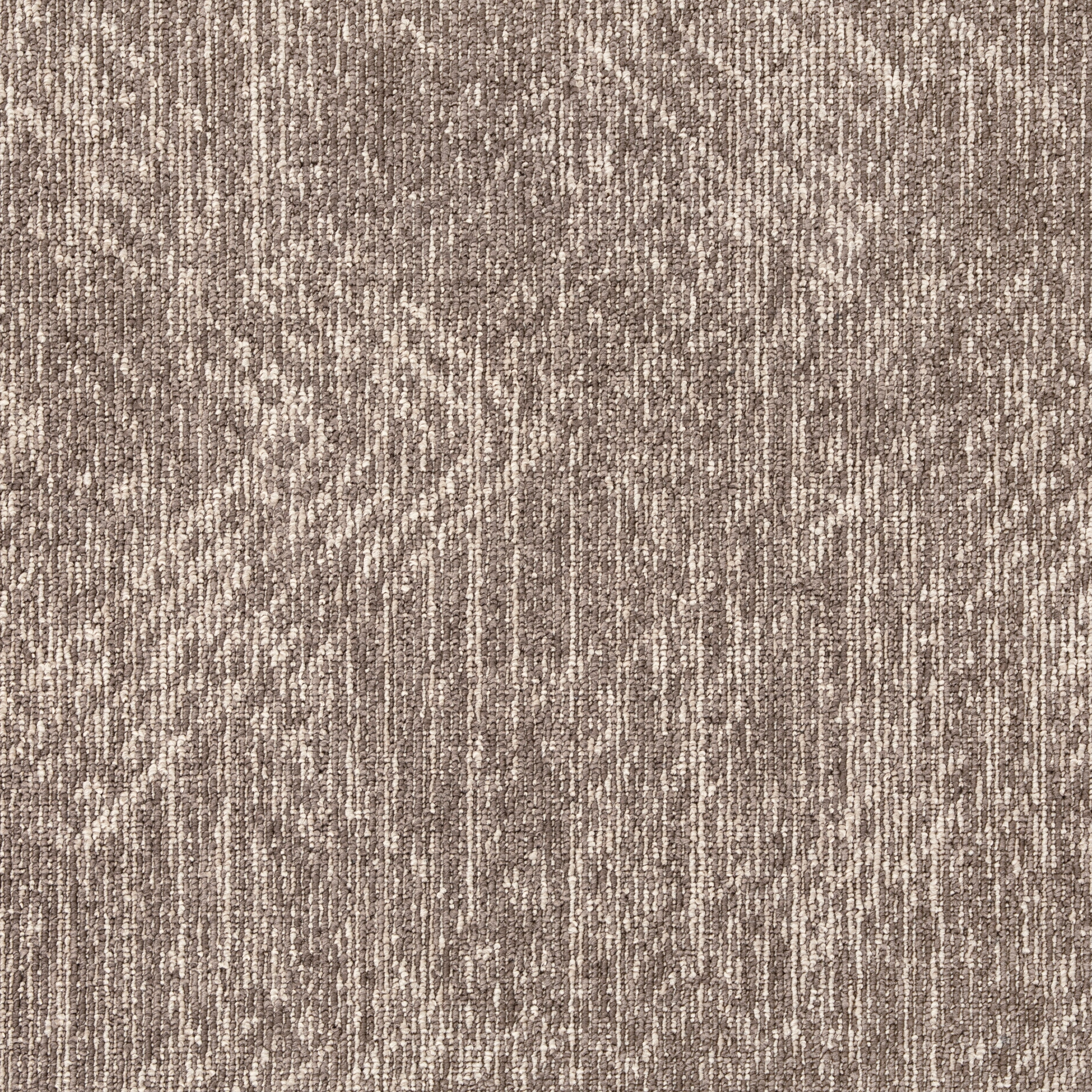 Brown 007 - Vector