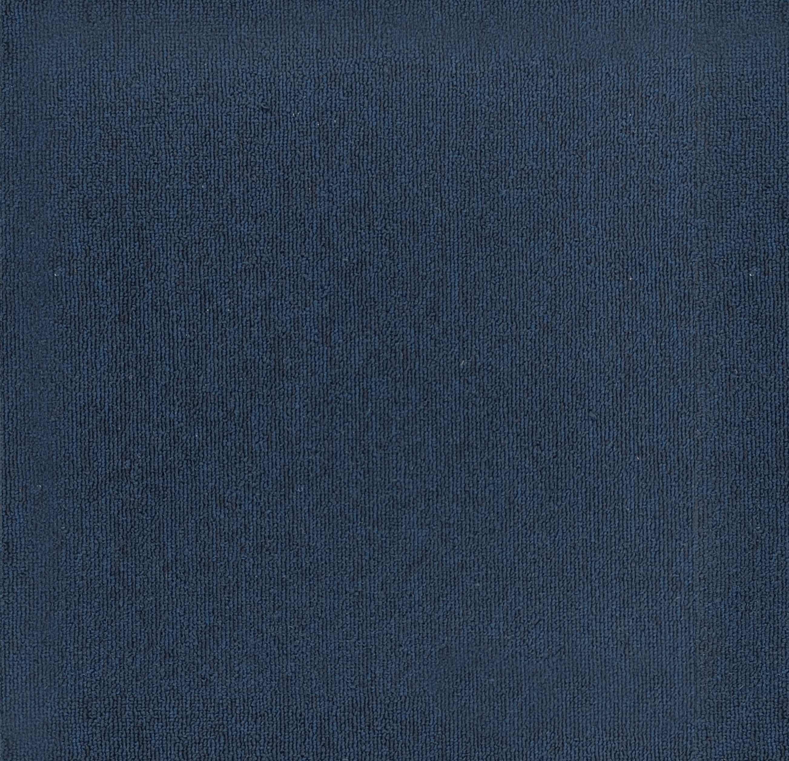 Navy 1017 - Nyluxe