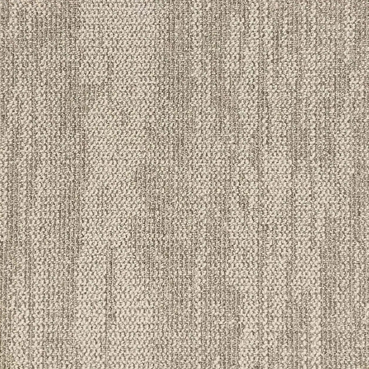 Fossil 004 - Vortex