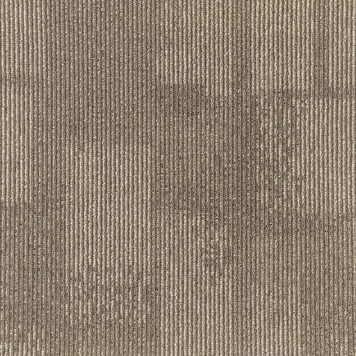 Brown 007 - Anvil
