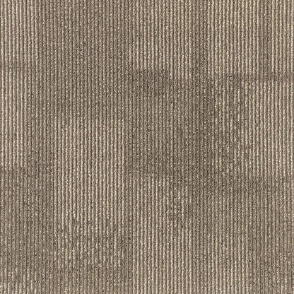 Brown 007 - Anvil