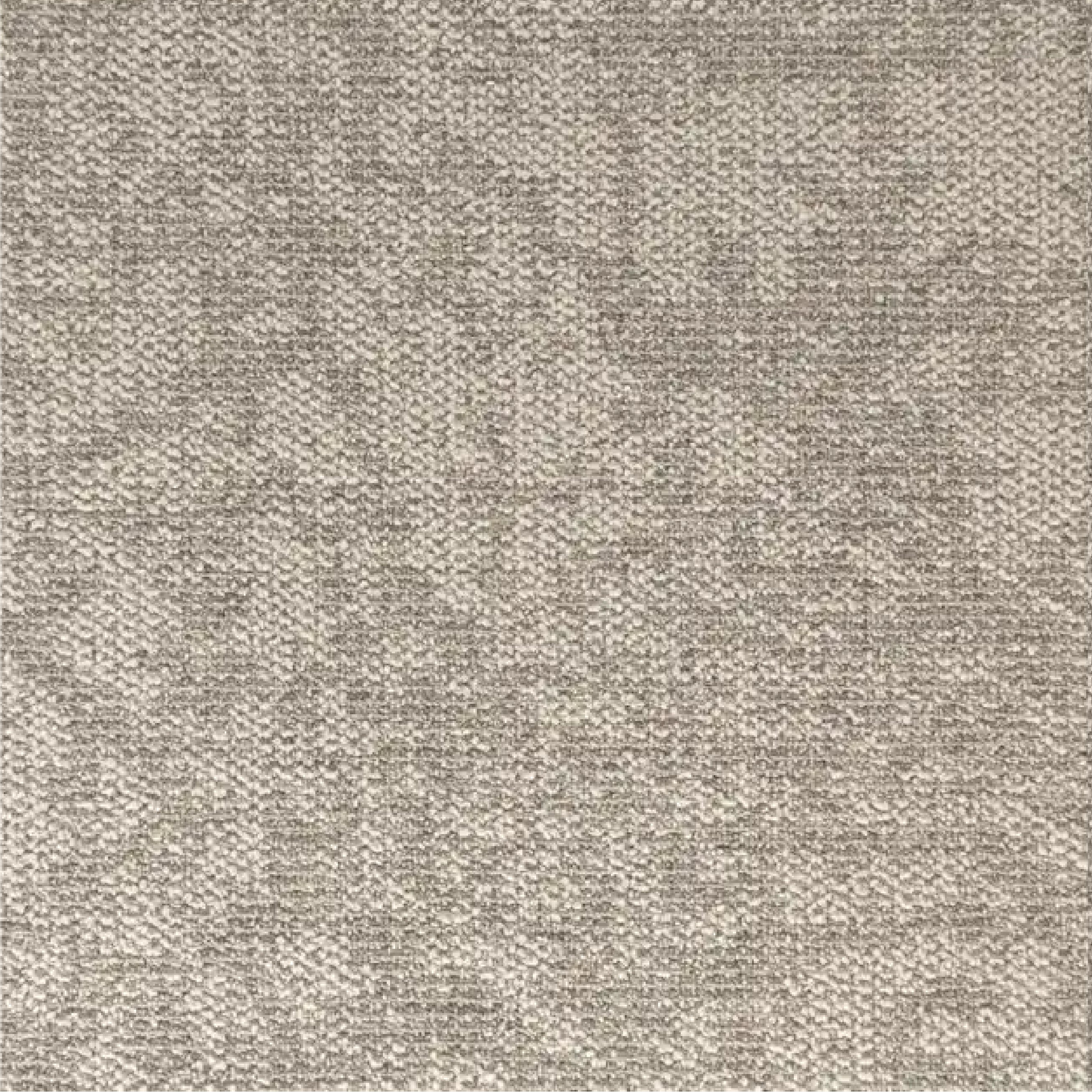 FOSSIL 004 - DYNAMO
